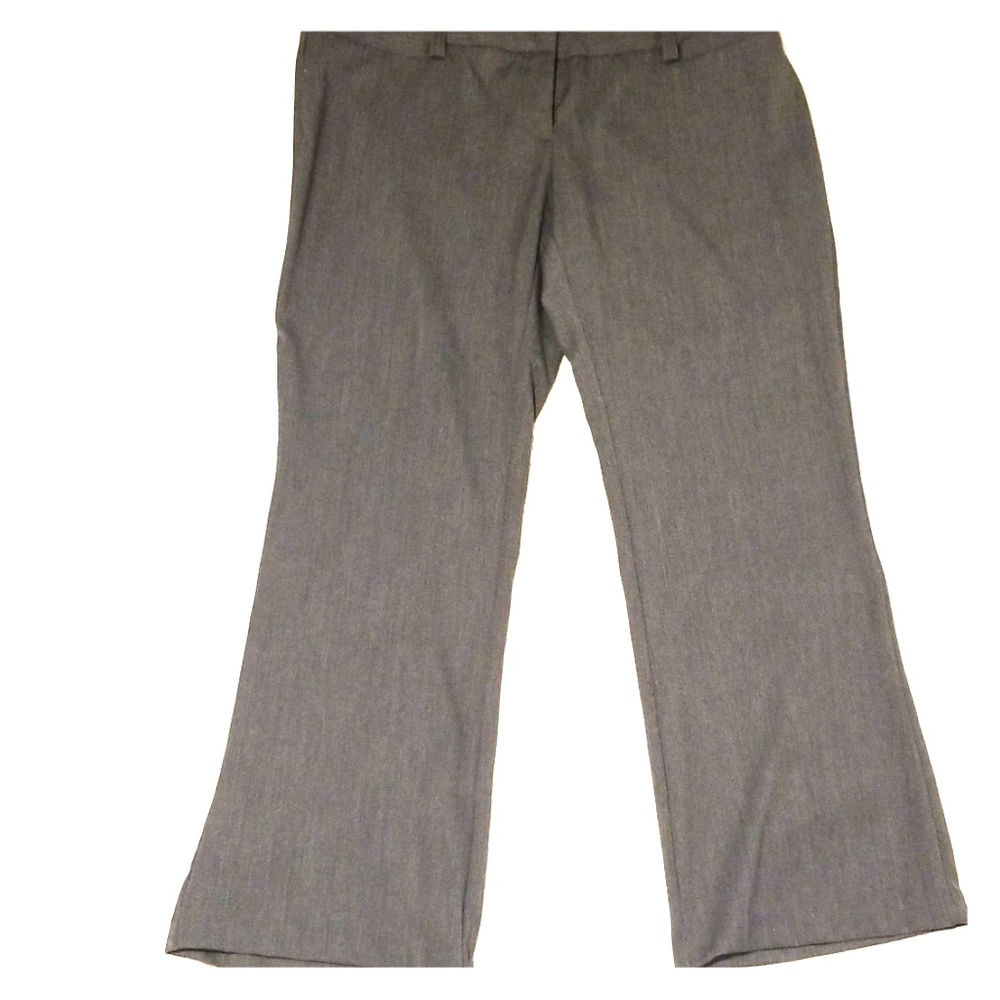 Maurices Boot Cut "I am Smart" Dress Pants